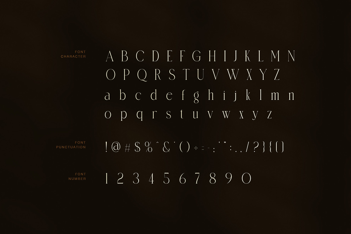 Amelin Elegant Serif Font, a Serif Font by Graphicxell (Photo 7 of 8)