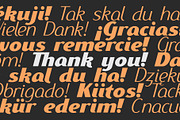 Ethna Italic, a Sans Serif Font by NREY (Thumbnail 5 of 5)