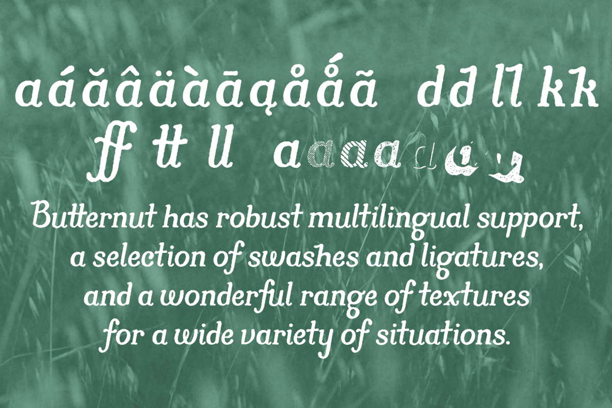 Butternut preview 2