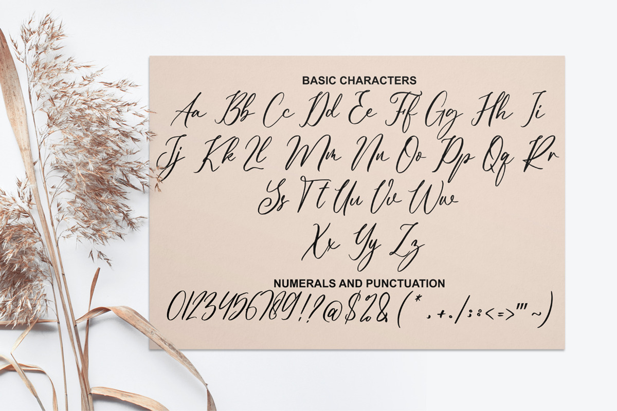 Alexanna a Modern Calligraphy Font, a Script Font by Fatmawati (Photo 10 of 12)