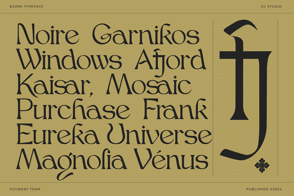 Bjork Serif, a Serif Font by CCS-Type.com (Photo 16 of 30)