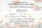 Spring | Script Font, a Handwritten Font by Scratchones (Thumbnail 7 of 9)