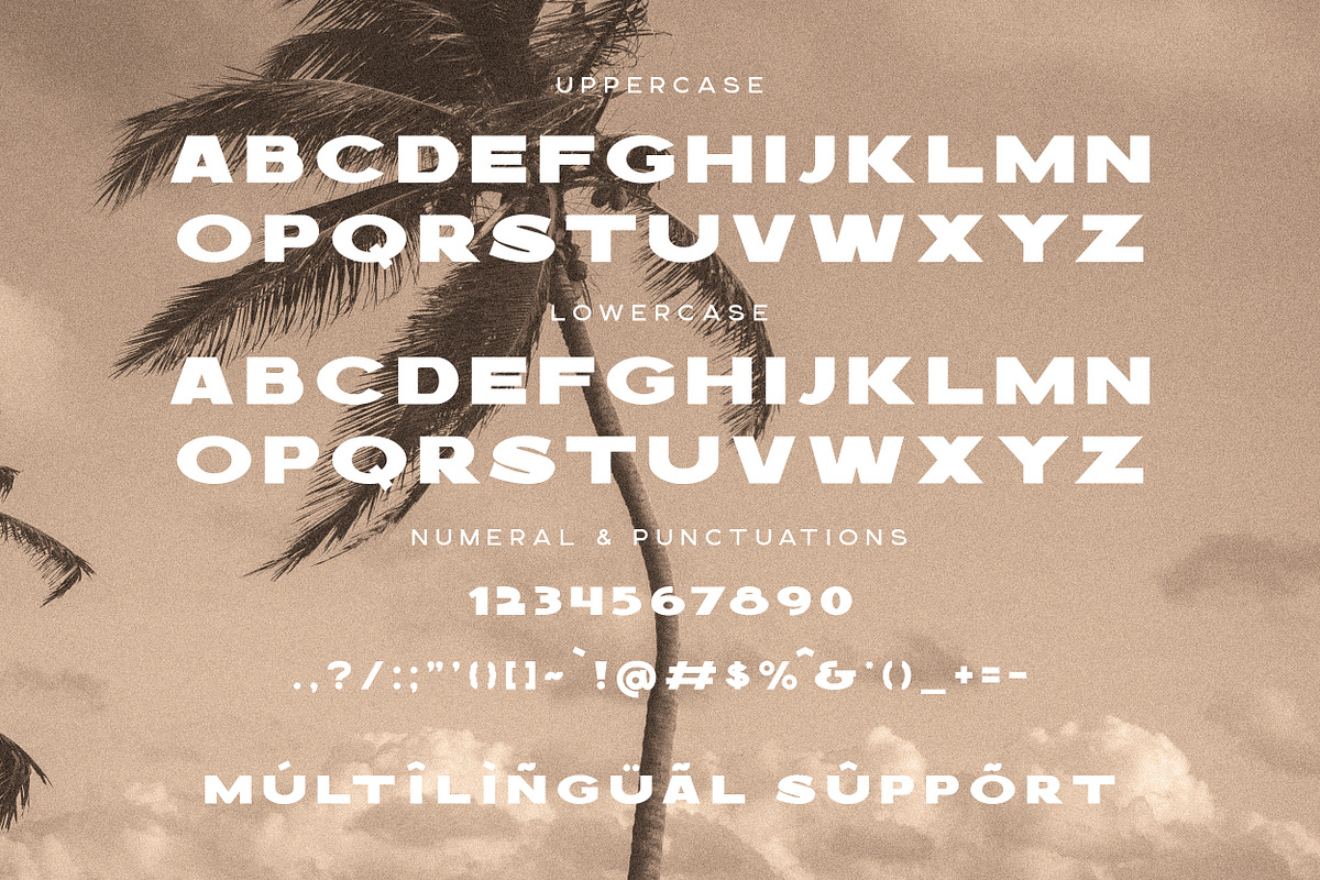 Bakers Bold Display Sans Serif, a Sans Serif Font by Hishand Studio (Photo 8 of 10)