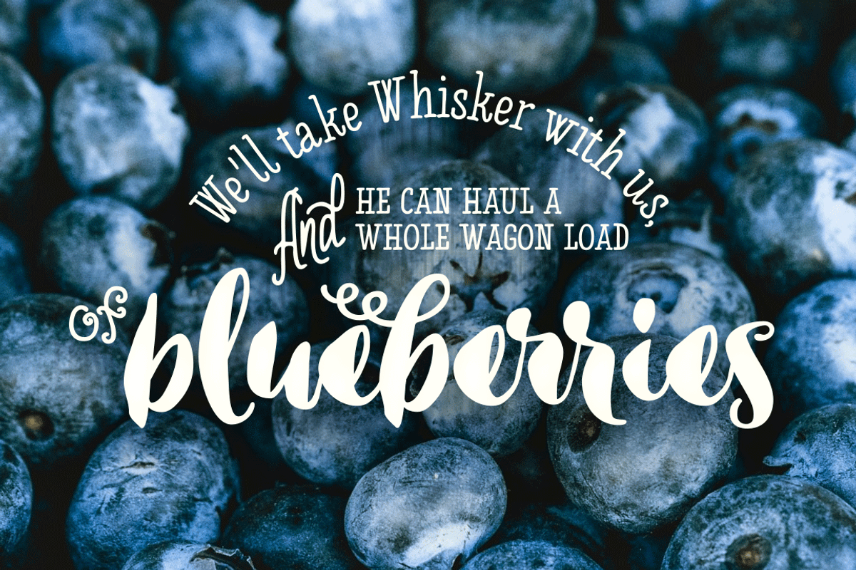 Inkston Font Bundle SALE preview 3
