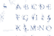 Gwinnett | Indigo | Botanical set, a Decorative Illustration by Karma (Thumbnail 10 of 16)