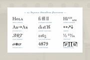 LC Tejuela, a Serif Font by CTCH (Thumbnail 9 of 13)