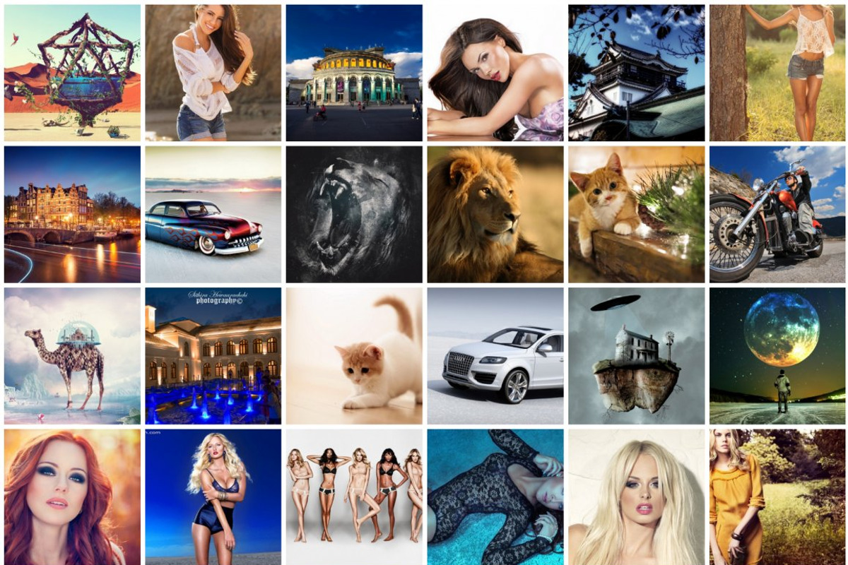 Gallery Pro For WordPress, a Plug-in Add-On by Weblizar Themes & Plugin (Photo 1 of 2)