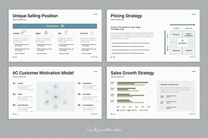 Sales Strategy Plan Presentation