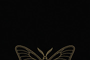 ETARA Privé House Social System, an Object Graphic by ETARA by Mea Hau (Thumbnail 48 of 62)
