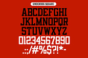 Underdog Round Typeface, a Font by MightySHORT (Thumbnail 2 of 5)