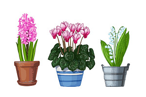 Garden Flowers In Pots. Vector