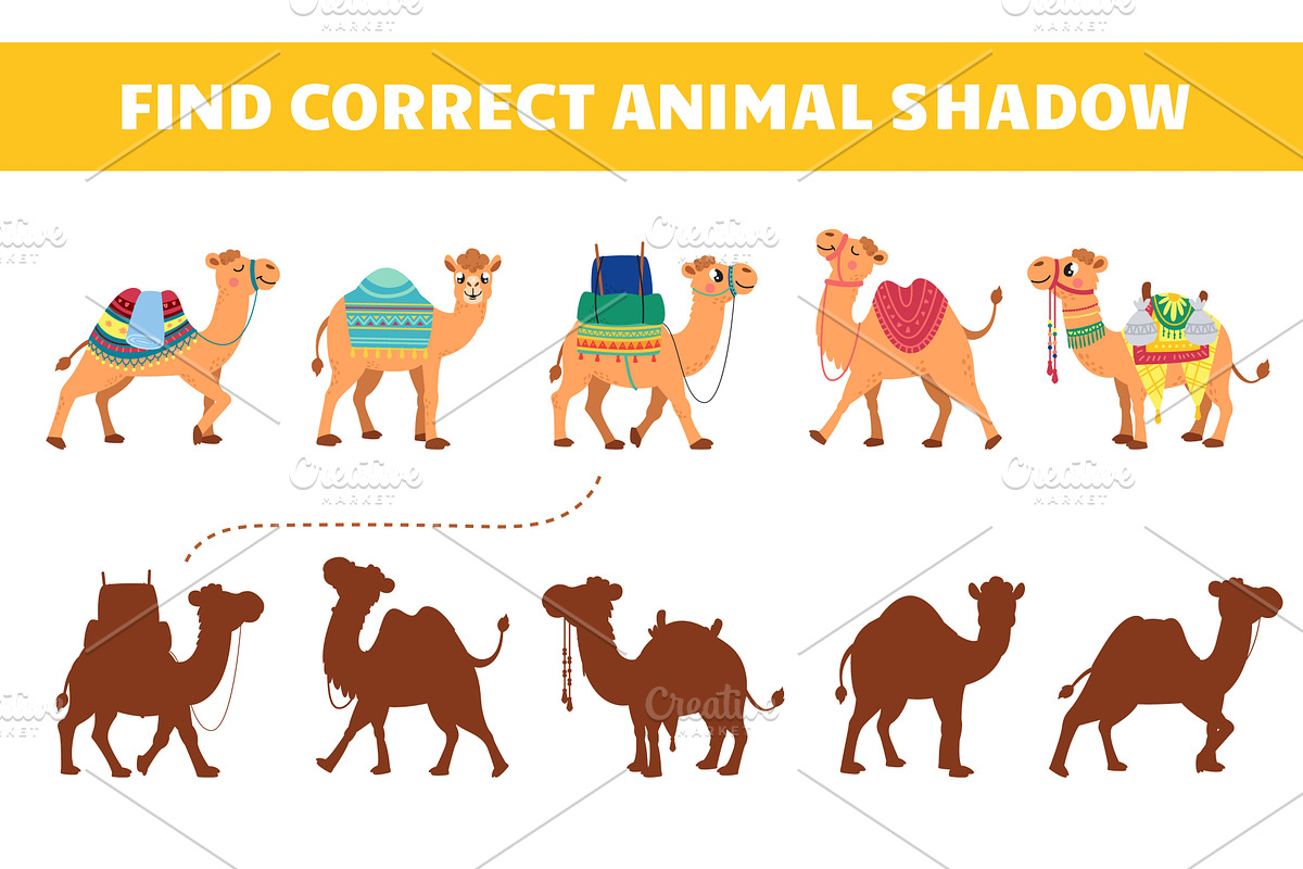 Find correct camel shadow kids play, an Education Illustration by LadadikArt