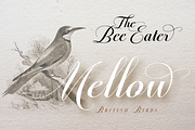 Predy, a Script Font by Eurotypo (Thumbnail 2 of 5)