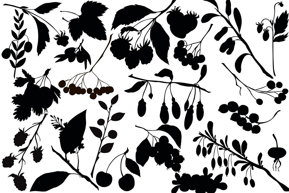 Vector berries, an Illustration by risovanya (Photo 2 of 9)