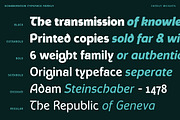 Schaberstein, a Sans Serif Font by Typogama (Thumbnail 4 of 13)