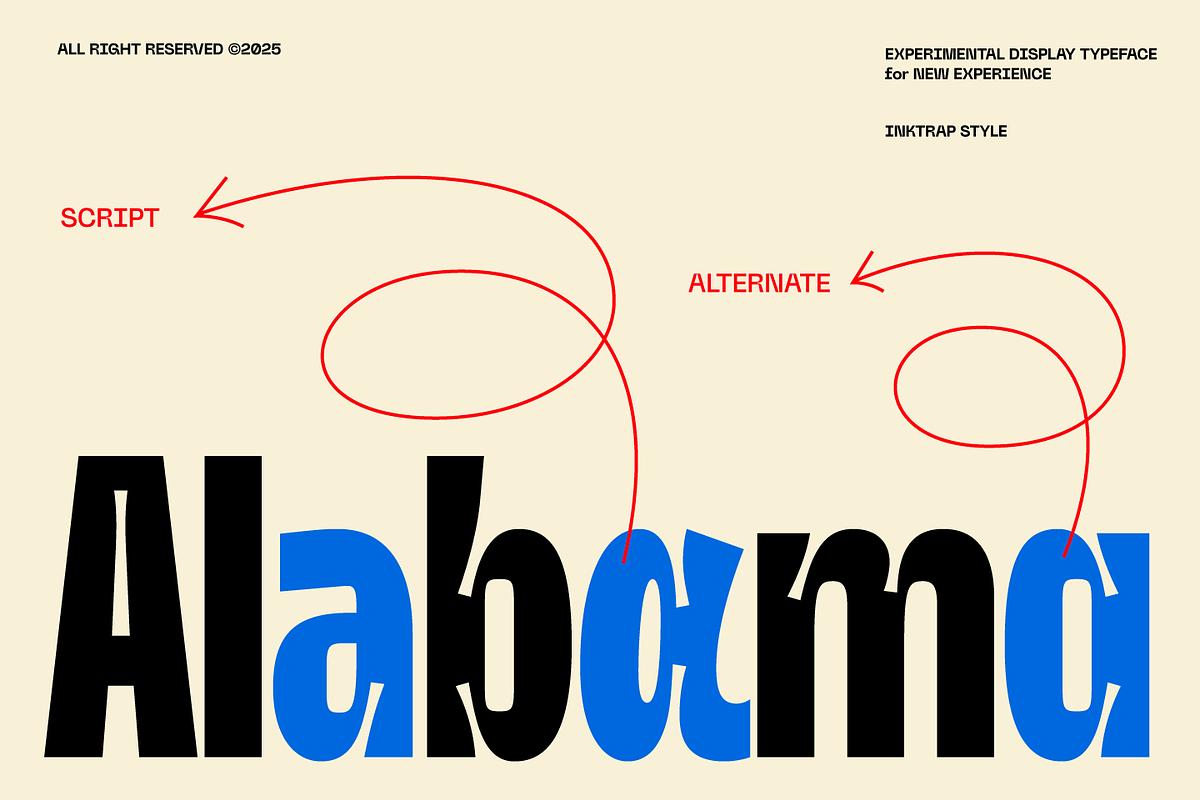 Nobulina - Experimental Display Font, a Sans Serif Font by Zarma Type (Photo 12 of 16)
