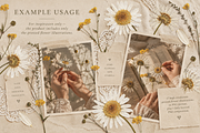 Herbarium Elements 17 PNG, a Nature Photo by Lembrik's Artworks (Thumbnail 4 of 6)