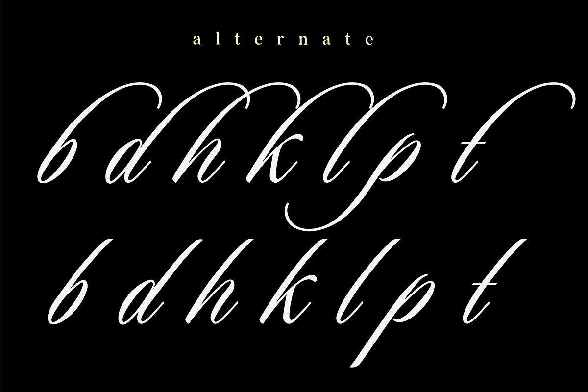DeBasi — Modern Calligraphy Font, a Script Font by Andfonts (Photo 4 of 5)
