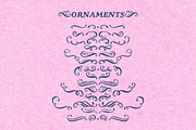Garden Song serif font and extras, a Serif Font by Ana's Fonts (Thumbnail 8 of 12)