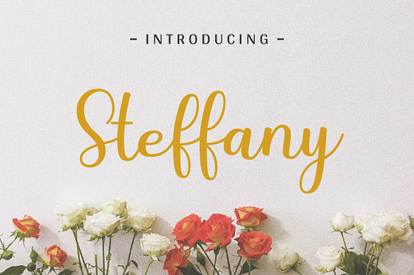 Steffany - Handwriting Font preview 7