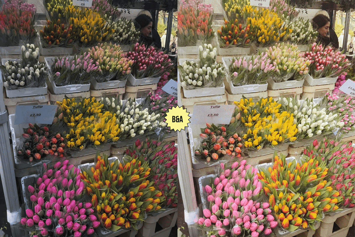 30 COTTAGE LIGHTROOM MOBILE PRESETS, a Preset Add-On by AmuletPresets (Photo 7 of 10)