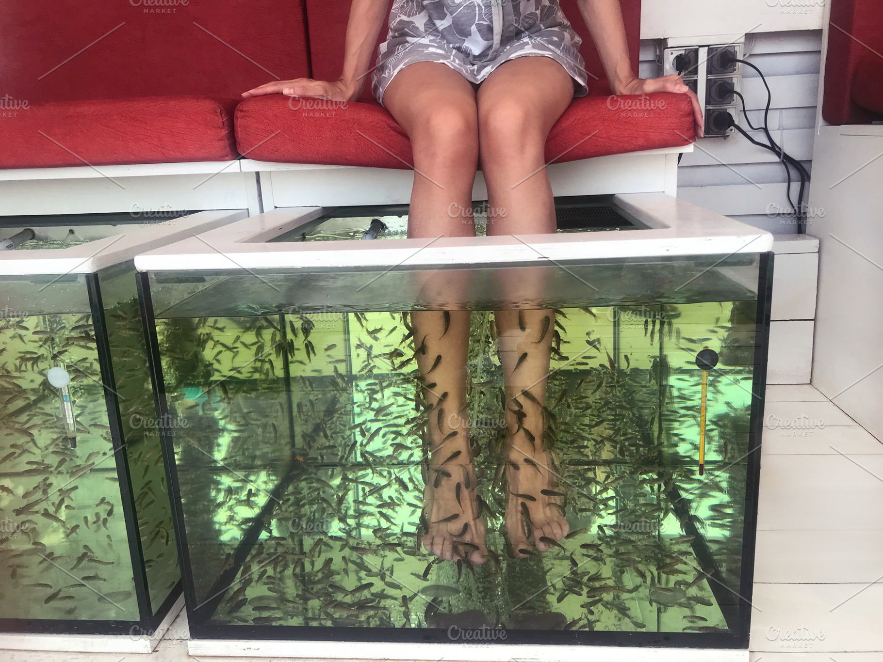 Procedure fishspa stock photo containing fish and peeling, a Beauty & Fashion Photo by Eni_fly