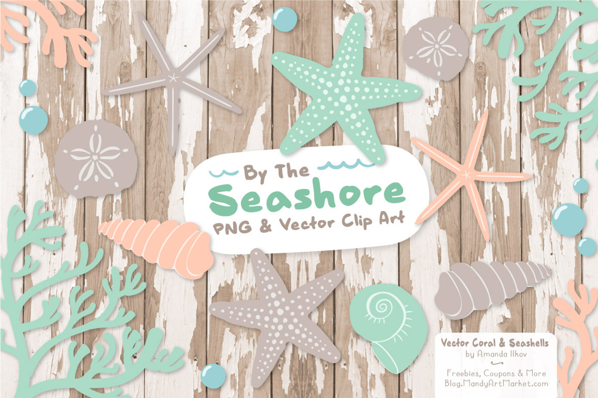 Mint & Peach Vector Seashells, an Illustration by Amanda Ilkov (Photo 2 of 5)