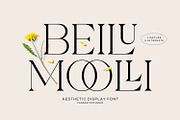 Beilu Moolli - Aesthetic Serif, a Serif Font by Imoodev (Thumbnail 1 of 5)