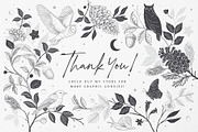 Woodland Wonders: 2 in 1 Graphic Set, a Decorative Illustration by rouxsupplyco (Thumbnail 32 of 32)