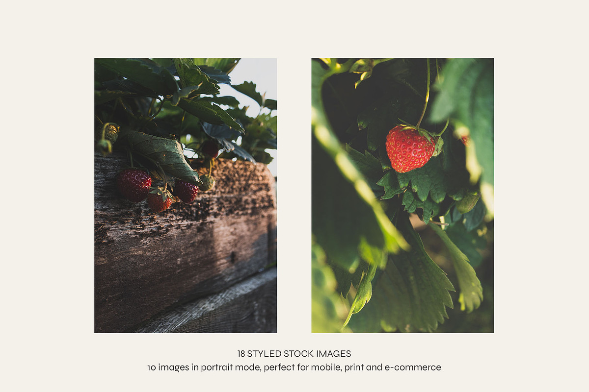 Garden Sunset | Photo Bundle, a Nature Photo by The Responsible Creatives (Photo 5 of 11)