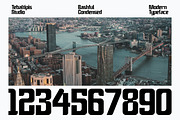 Bashful - Sans Condensed Font, a Sans Serif Font by tebaltipislab (Thumbnail 3 of 12)