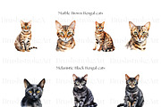 Cute Bengal Cat Clipart, Cute Cats, an Animal Illustration by BrushstrokeArtGB (Thumbnail 5 of 10)