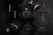 NOCTURNA Hidden Secrets Collection, a Decorative Illustration by Muse Artist (Thumbnail 8 of 47)