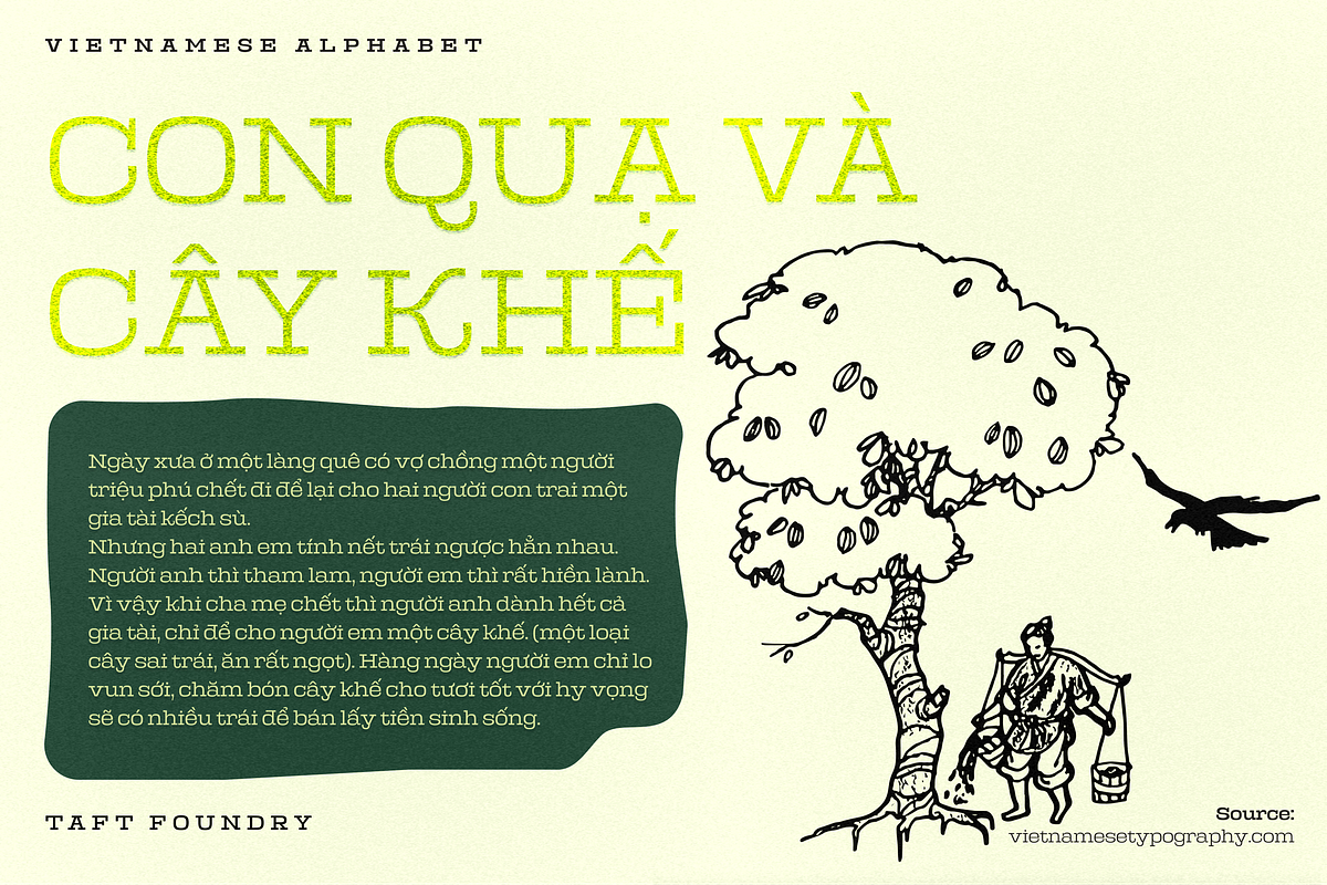 TA Albatross, a Slab Serif Font by TAFT Foundry (Photo 15 of 16)
