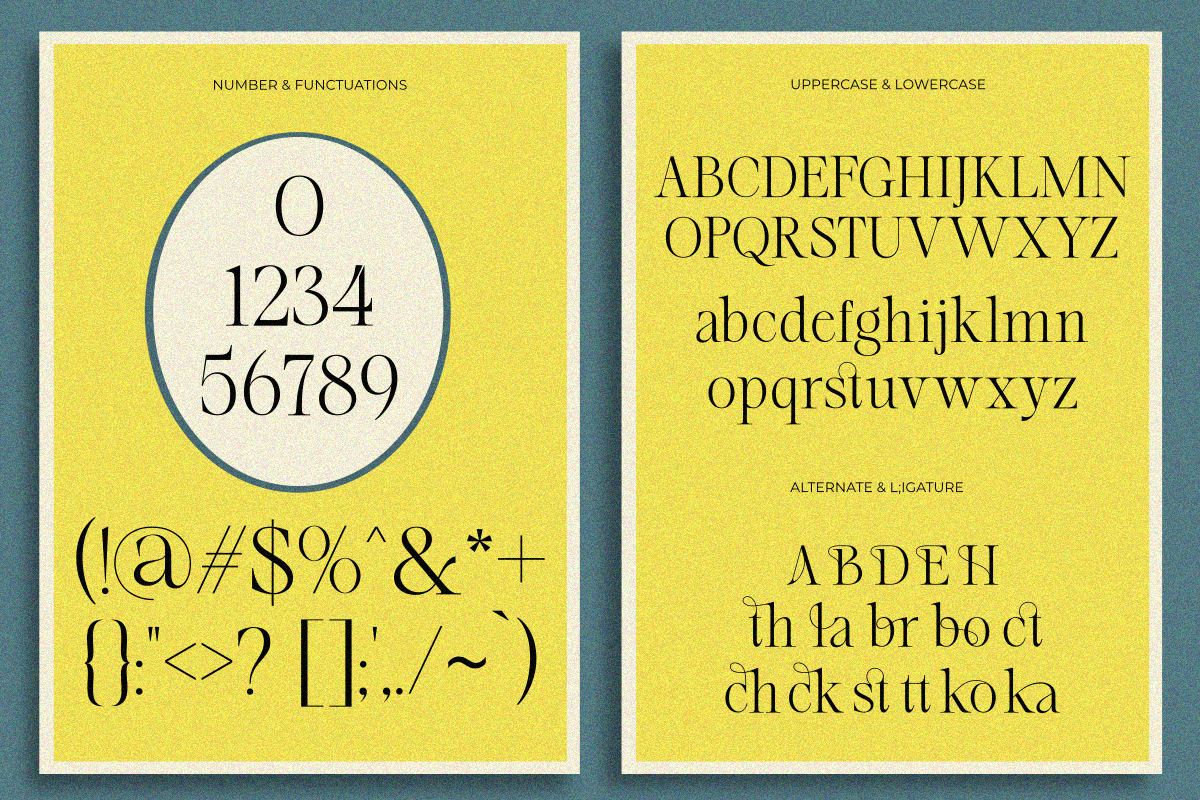 Brimula, a Serif Font by Zafiratype (Photo 10 of 10)