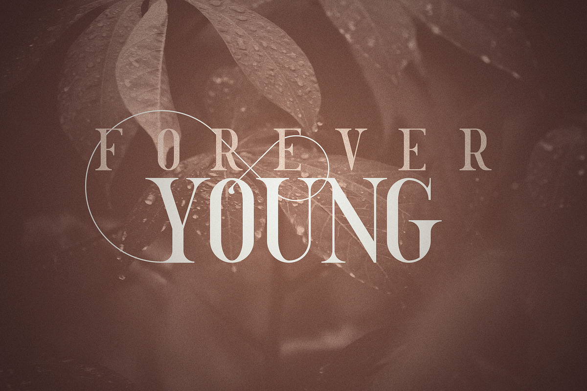 Golden Bird Serif font + Cool Extras preview 3