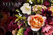 Sylvan Floral Clip Art Collection, an Object Graphic by Eclectic Anthology (Thumbnail 20 of 20)