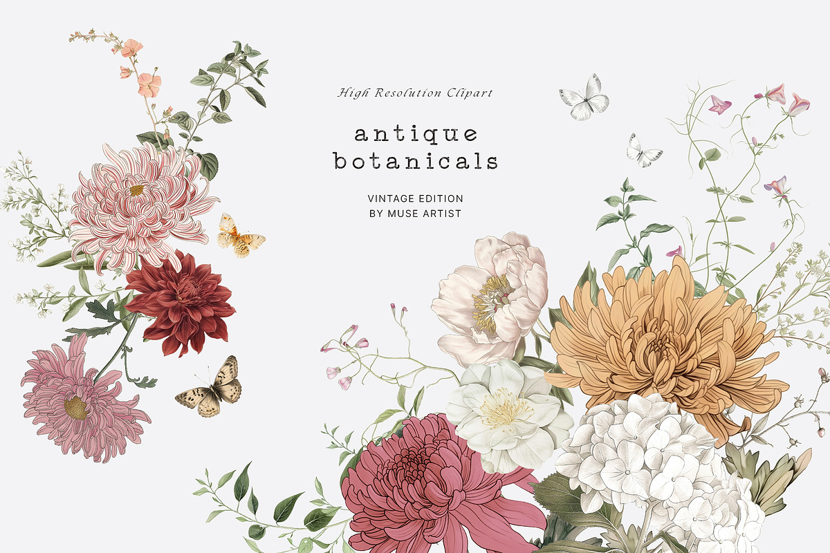 CREATIVE DESIGN BUNDLE - 15K, a Decorative Illustration by Muse Artist (Photo 15 of 60)