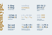 Dialecta Text, a Serif Font by Craceltype (Thumbnail 9 of 9)