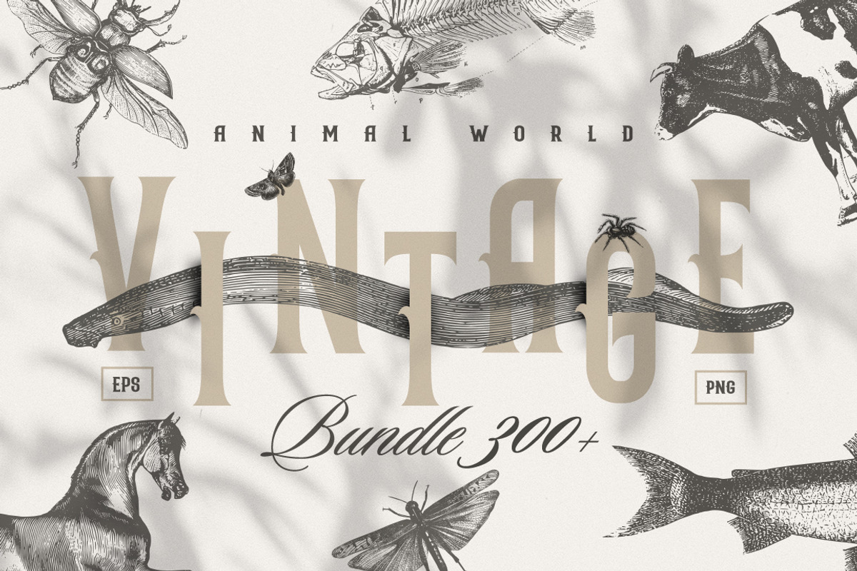 Vintage Bundle 2500+ Free Update, an Animal Illustration by Retro Machine (Photo 117 of 170)
