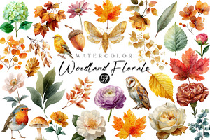 Florals and Woodland Clipart, an Illustration by CreationArt
