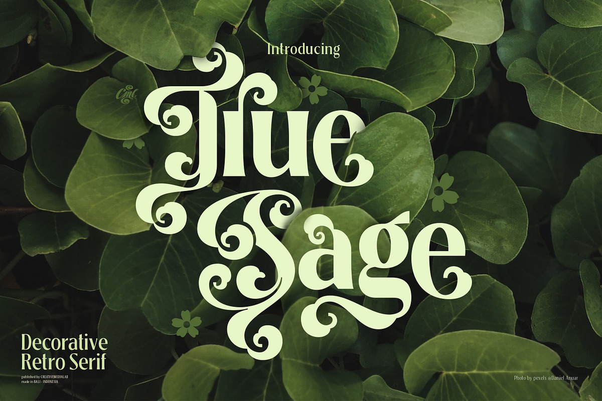 True Sage - Decorative Serif Family, a Font by creativemedialab (Photo 1 of 16)