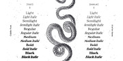 Caliste Display, a Serif Font by A is for... (Thumbnail 8 of 10)