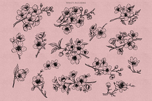 Sakura Procreate Stamps