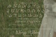 Whimsy Melonia – Whimsical Font, a Handwritten Font by shineink.designlab (Thumbnail 13 of 14)