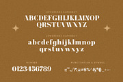 Gyeoul Elegant Serif Font Typeface, a Serif Font by Graphicxell (Thumbnail 10 of 10)
