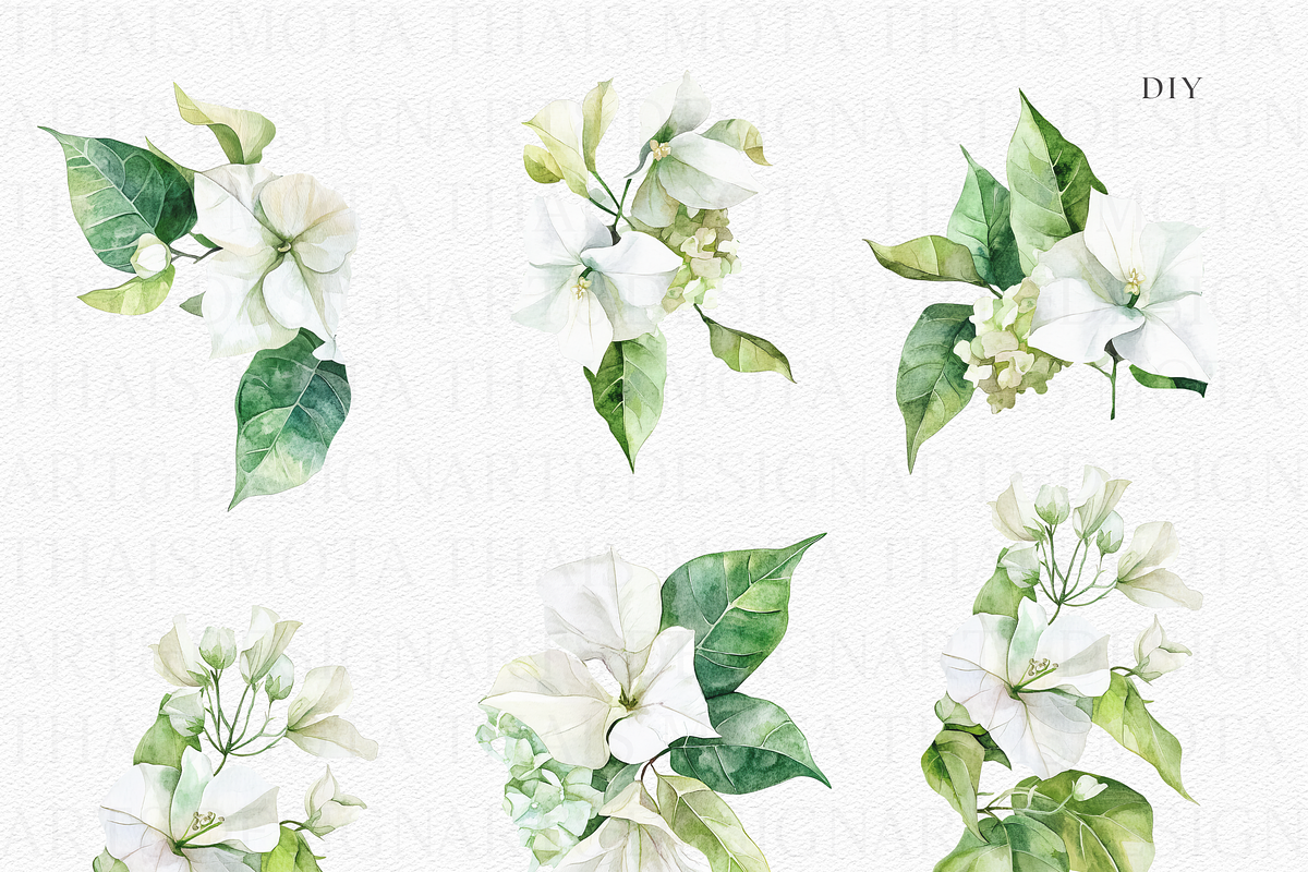 Watercolor Bougainvillea &Hydreangea, a Decorative Illustration by ThaismotaCreativeCo (Photo 4 of 11)