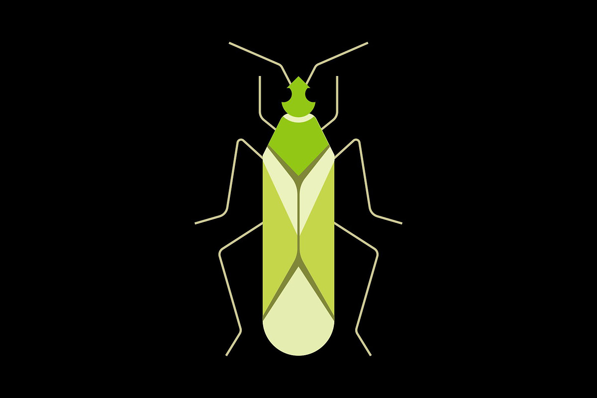 Green Plant Bug Insect, a Solid Icon by Buqancreative (Photo 2 of 2)