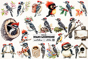 Downy Woodpecker Clipart, an Illustration by Pixels.Craft (Thumbnail 1 of 7)