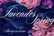 Duende Script Set, a Script Font by Aerotype (Thumbnail 5 of 14)